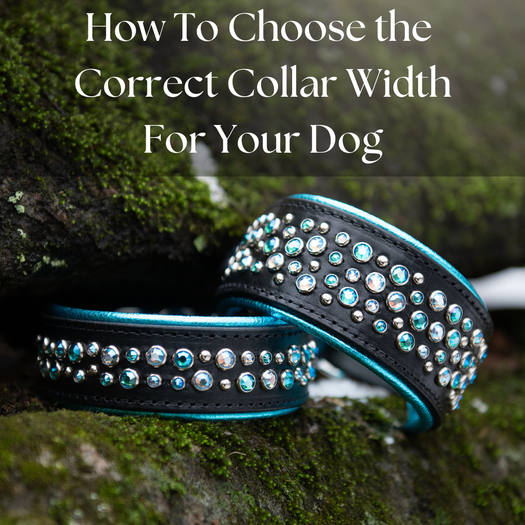 Illustration of Thread Durability For Dog Collars