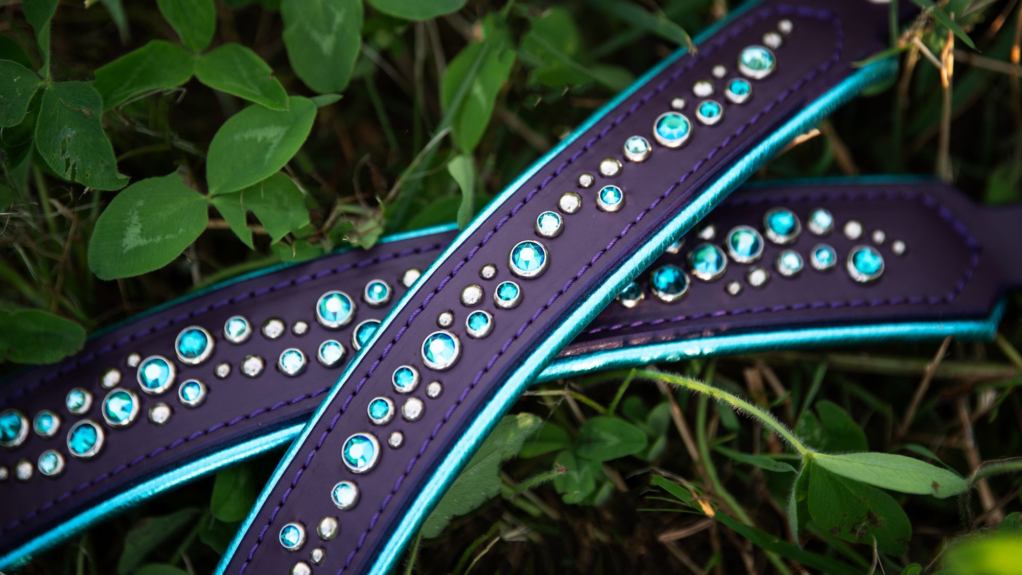 Handling 360 / Agility Nation – Fusion By Design Collars