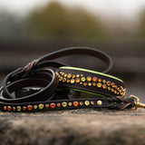 Blinged Leash, Standard (5/8" wide)