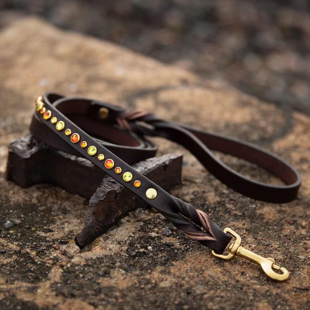 Blinged Leash, Standard (5/8