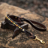 Blinged Leash, Standard (5/8" wide)