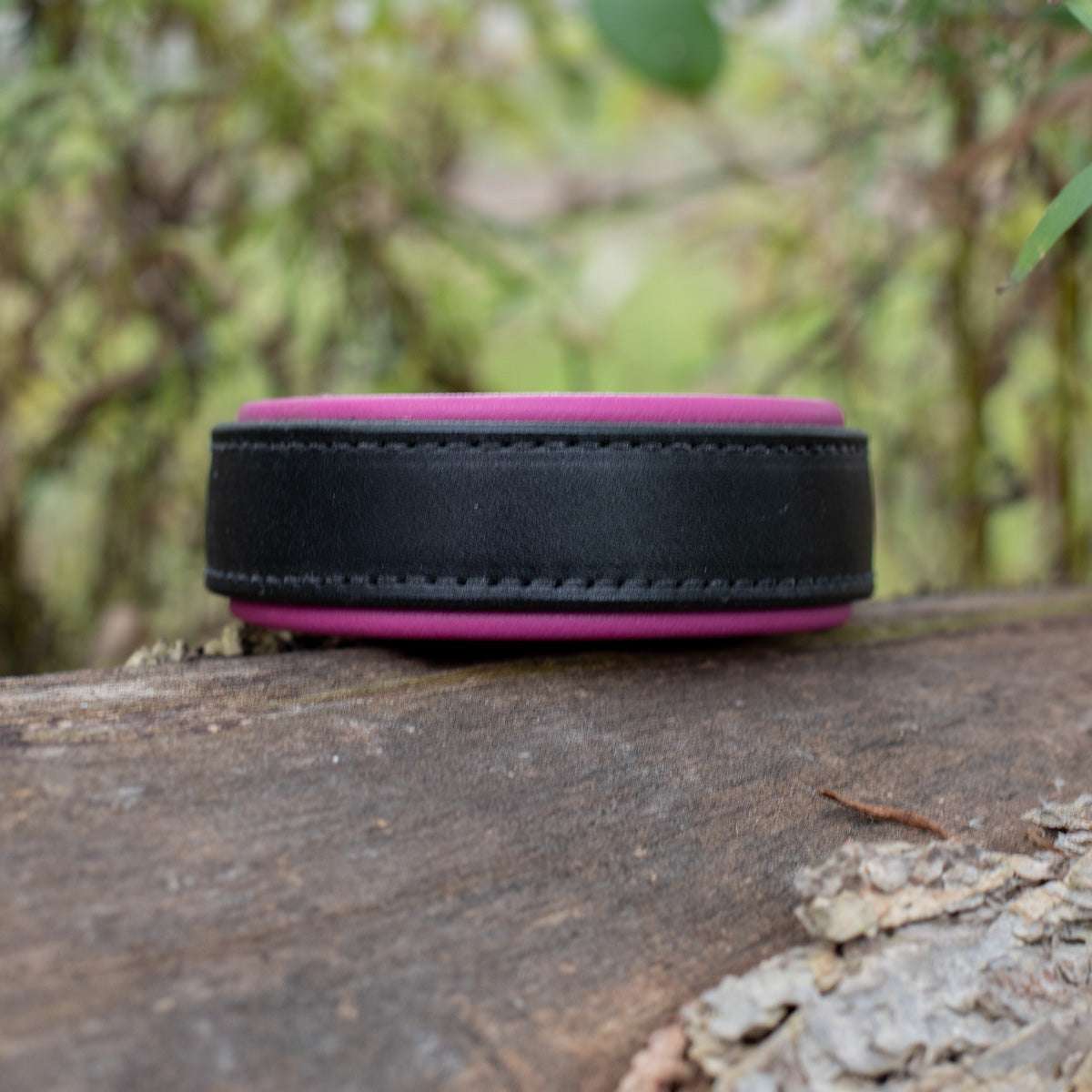 Devon, various widths Dog Collar
