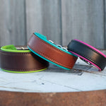 Devon, various widths Dog Collar
