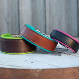 Devon, various widths Dog Collar