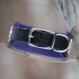Dusk, 2" Wide Custom Leather Dog Collar.