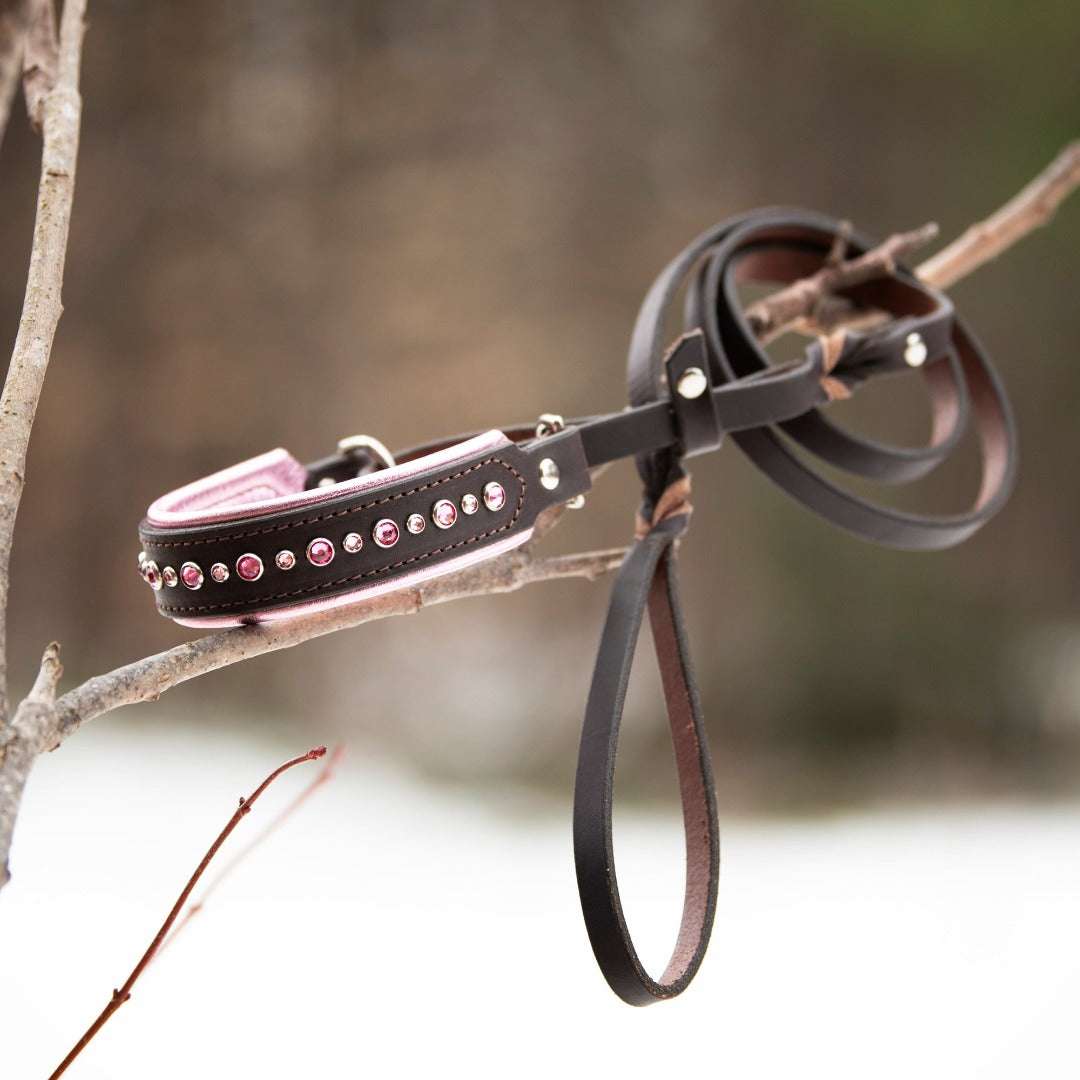 French Martingale Leash Upgrade Leash