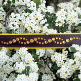 Wave, 1.5" wide Brown Leather Dog Collar