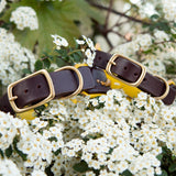 Wave, 1.5" wide Brown Leather Dog Collar