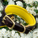 Wave, 1.5" wide Brown Leather Dog Collar