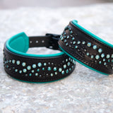 Mini Mardi Gras, 2" Wide Black Leather Dog Collar
