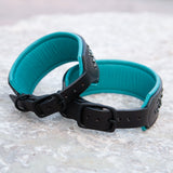 Mini Mardi Gras, 2" Wide Black Leather Dog Collar