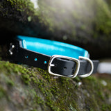 Little Aurora, 1.5" Wide Custom Leather Dog Collar