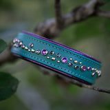 H360 Teal Limited Edition Collar, 1.25" wide