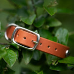 Siri, 3/4" wide