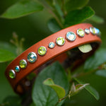 Siri, 3/4" wide our premium leather dog collar
