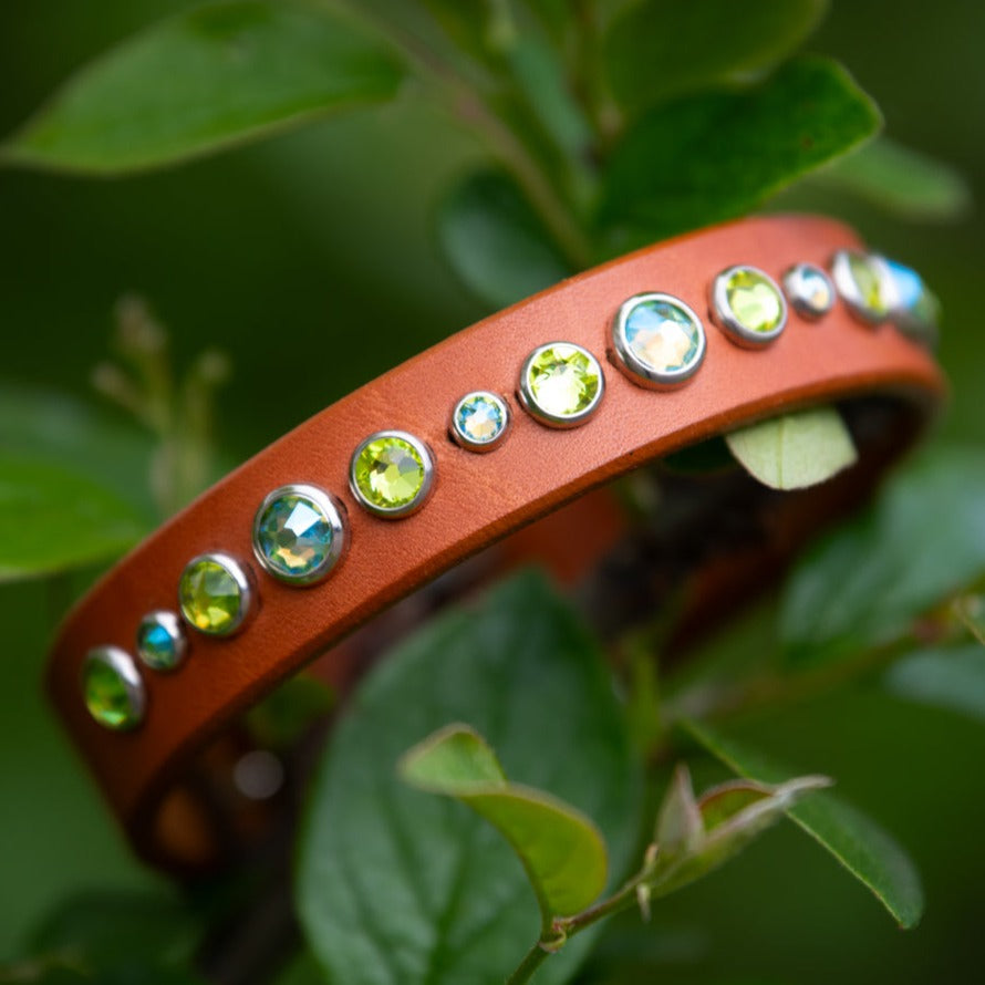 Siri, 3/4" wide our premium leather dog collar