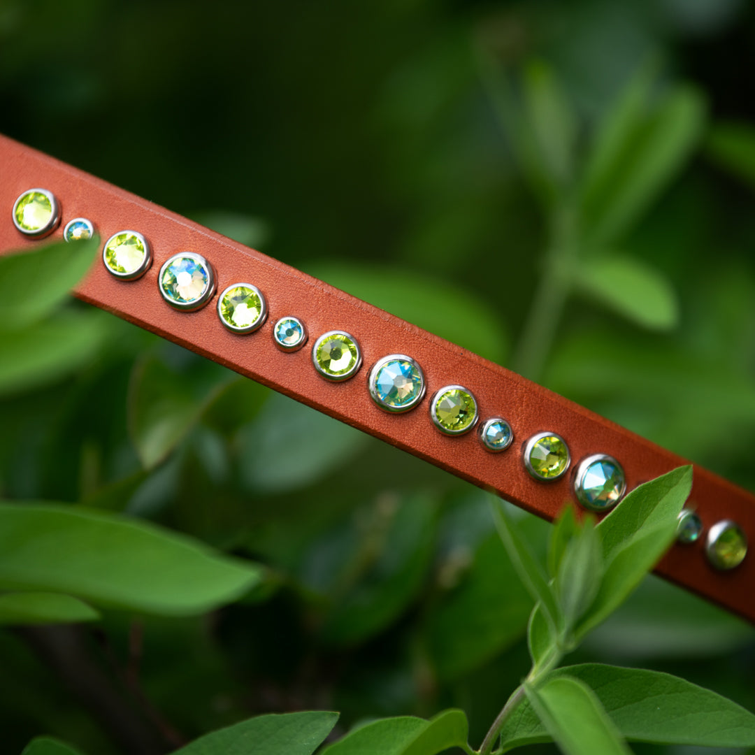 Siri, 3/4" wide premium leather dog collar