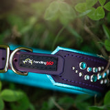 H360 Purple Limited Edition Collar, 1.25" wide