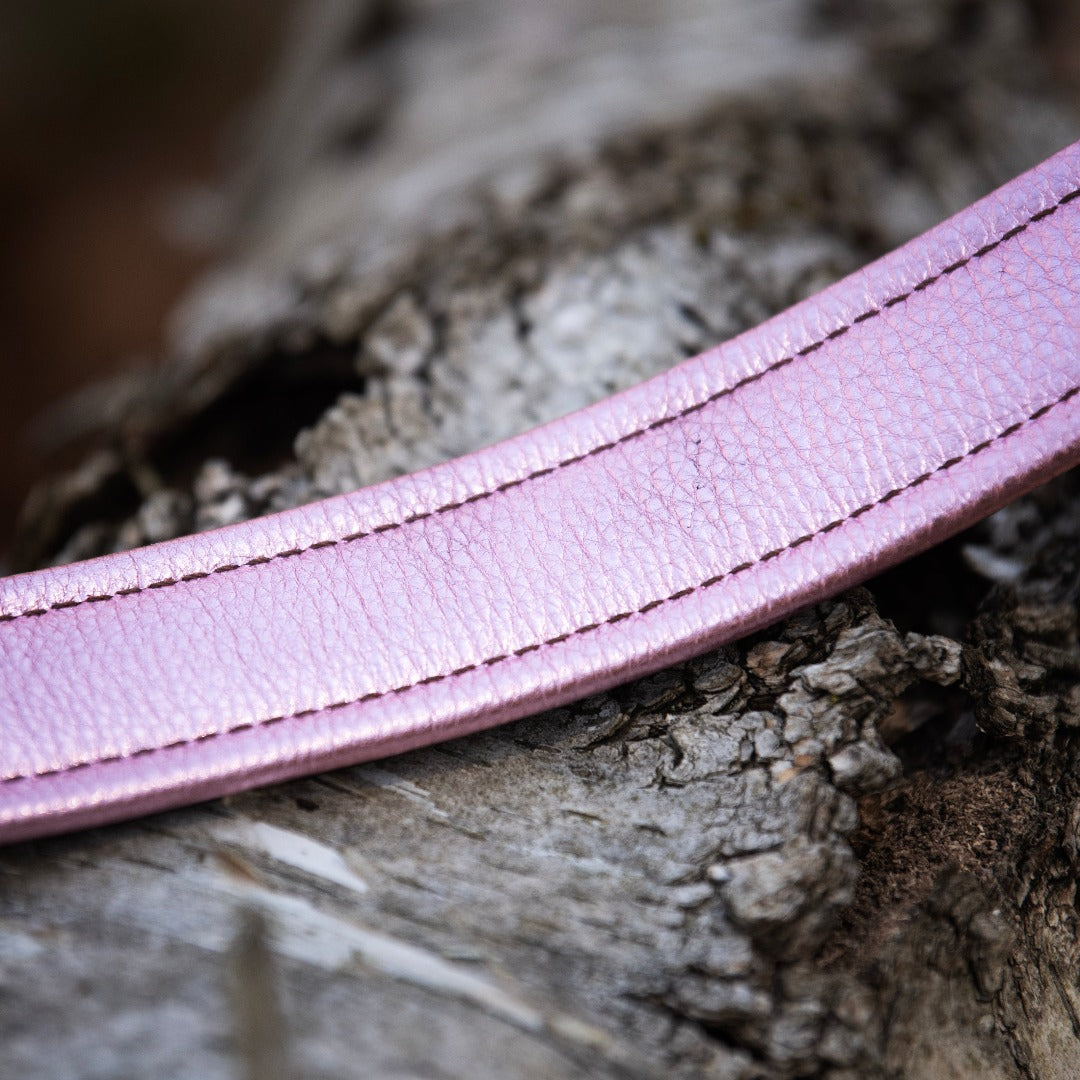 Wave, 1.5" Wide Dog Collar