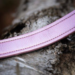 Wave, 1.5" Wide Dog Collar
