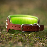 Mia, 2" Wide Custom Leather Dog Collar