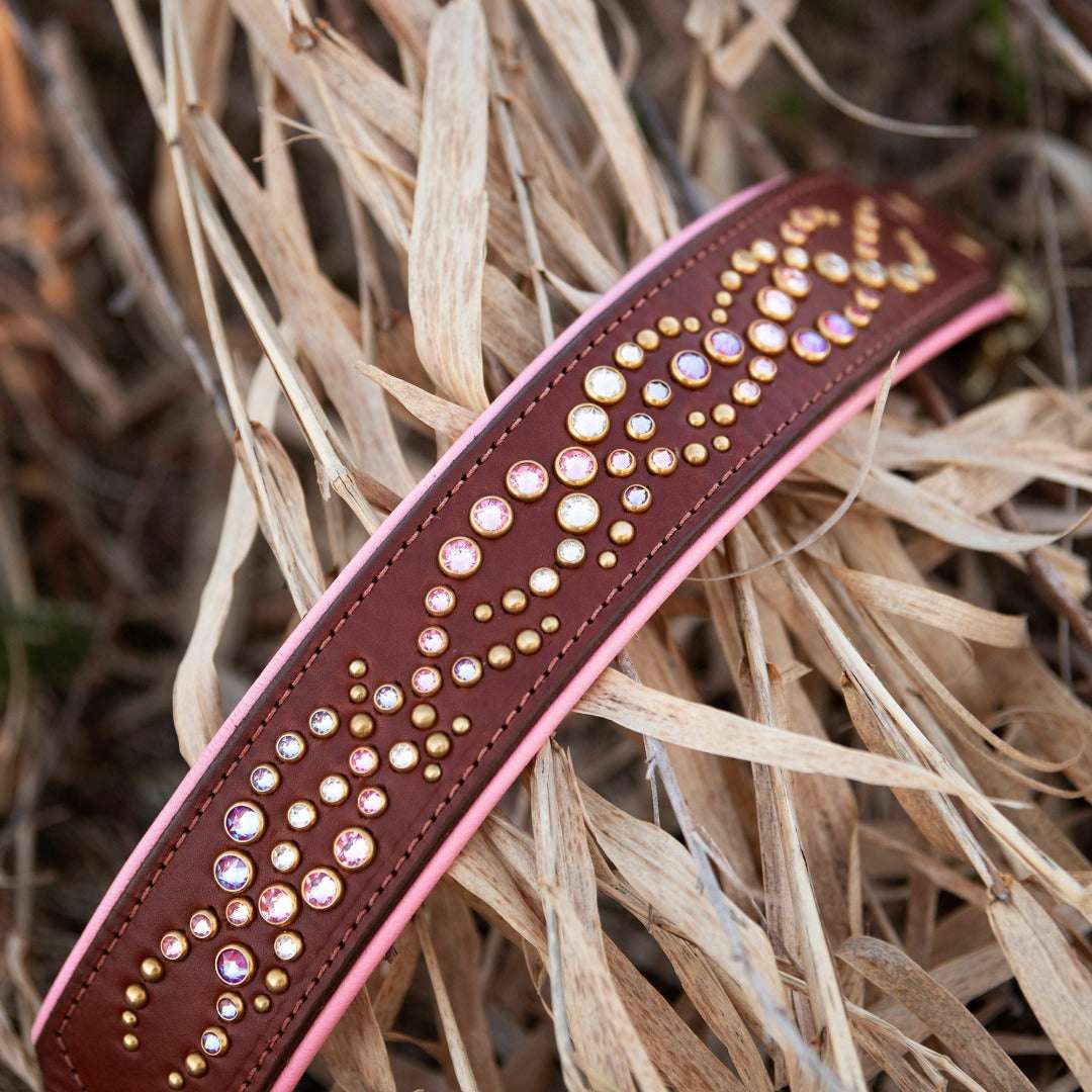 Mini Mardi Gras, 2" Wide Dog Collar