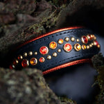 Phlyte, 1.5" Wide Dog Collar