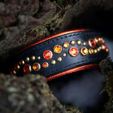 Phlyte, 1.5" Wide Dog Collar