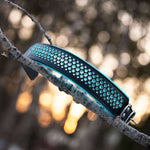 Rio, 2.25" Wide Dog Collar