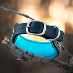 Rio, 2.25" Wide Dog Collar
