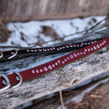 River,  3/4" wide Custom Leather Dog Collar.
