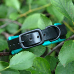 Buckle view of Black and teal dog collar on a branch with green leaves