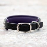 Silas, 1.25" wide Black Leather Dog Collar