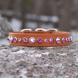 Siri, 3/4" wide, various sizes Dog Collar