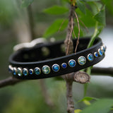 Siri,  3/4" wide Custom Leather Dog Collar
