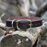 Siri,  3/4" wide Custom Leather Dog Collar