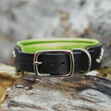 Wave, 1.5" Wide Dog Collar