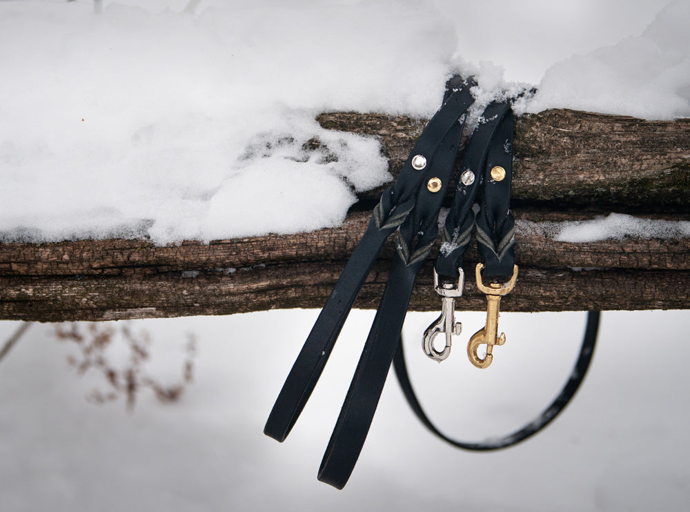 leashes-black-leather-brass-hardware