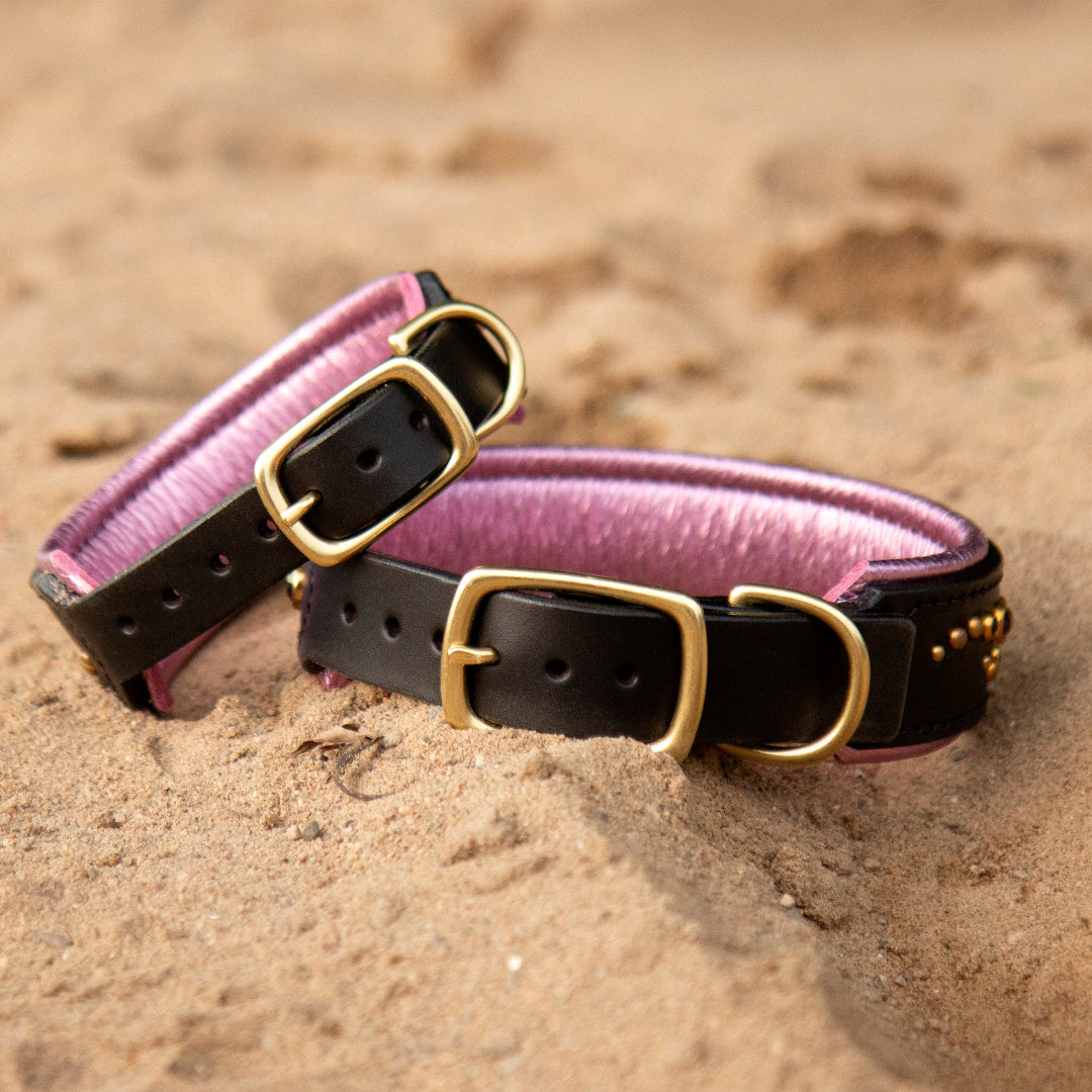 Two black leather and pink padding dog collars on a beach