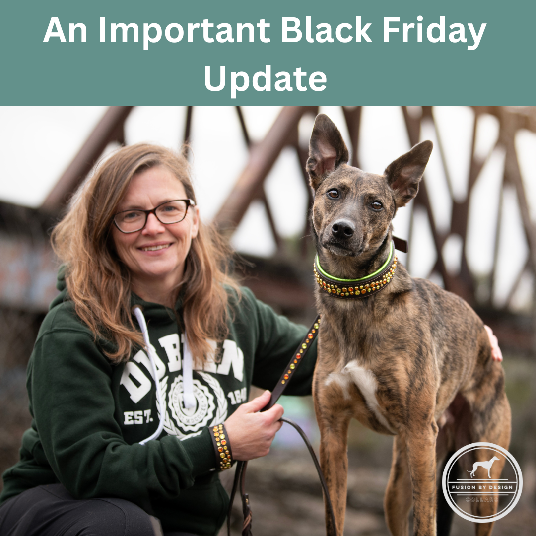 An Important Black Friday 2025 Update