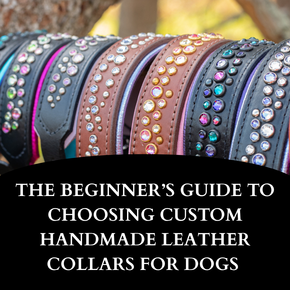 The Beginner's Guide to Choosing Custom Handmade Leather Collars for Dogs