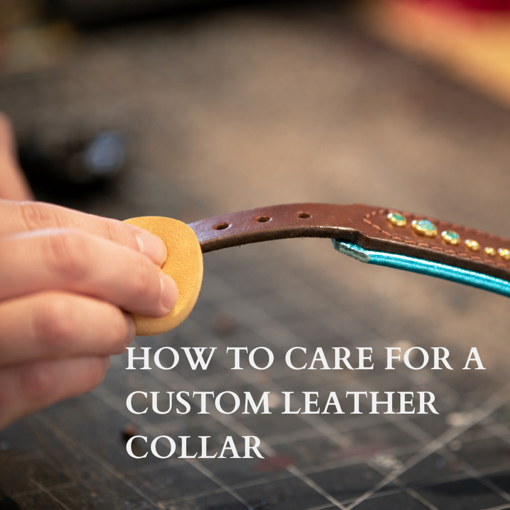How to Properly Clean and Care for a Custom Leather Dog Collar