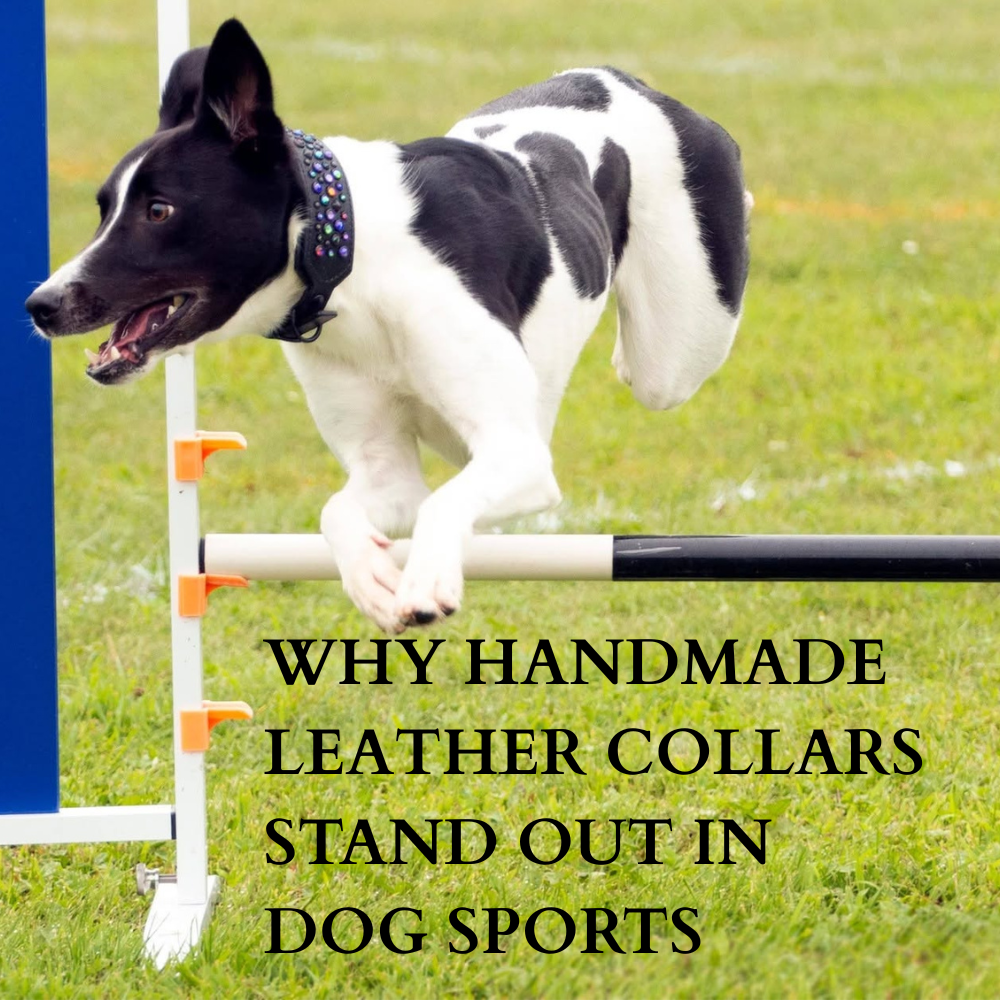 Why Handmade Leather Collars Stand Out in Dog Sports & Agility