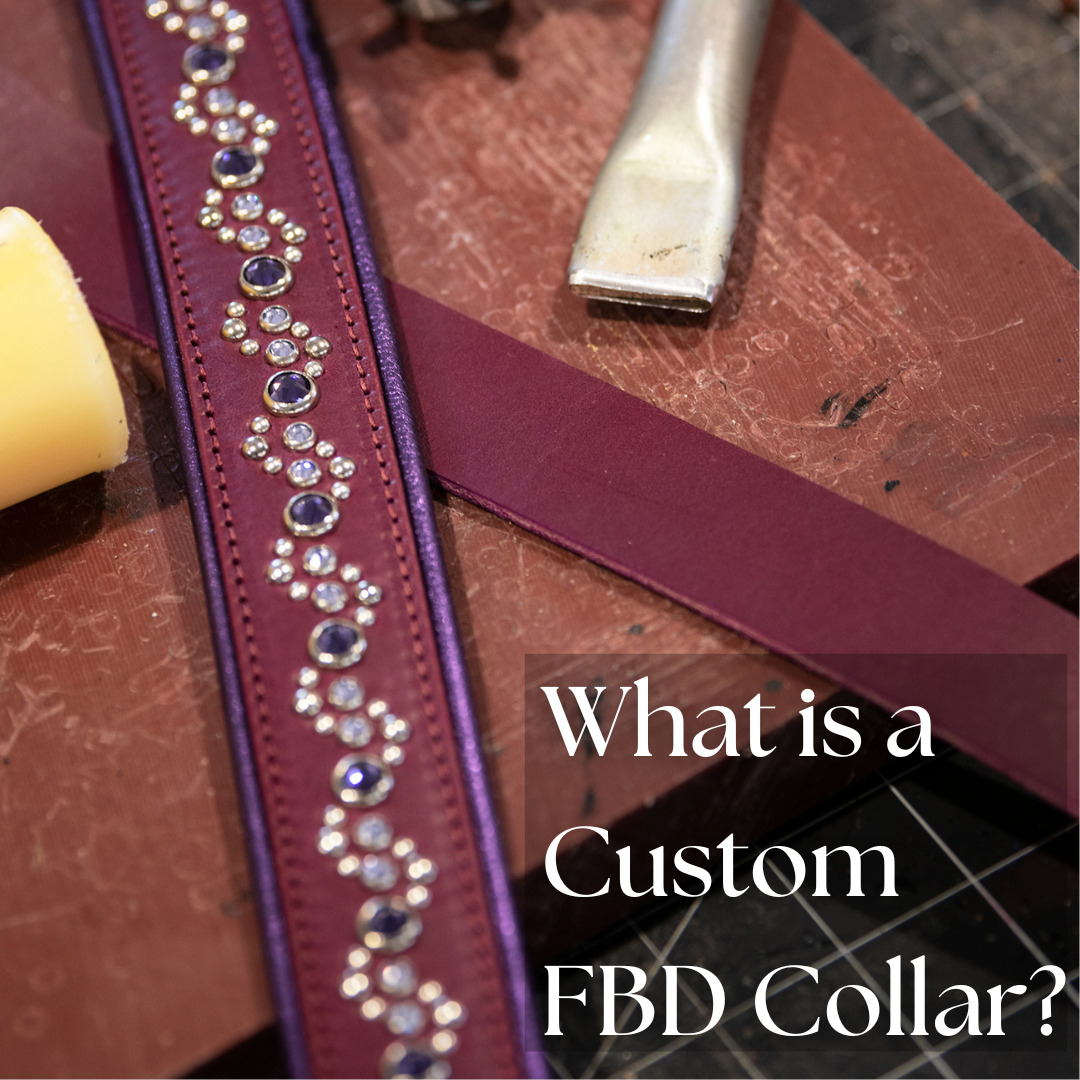 The Custom Dog Collar Experience (and How To Order Yours).