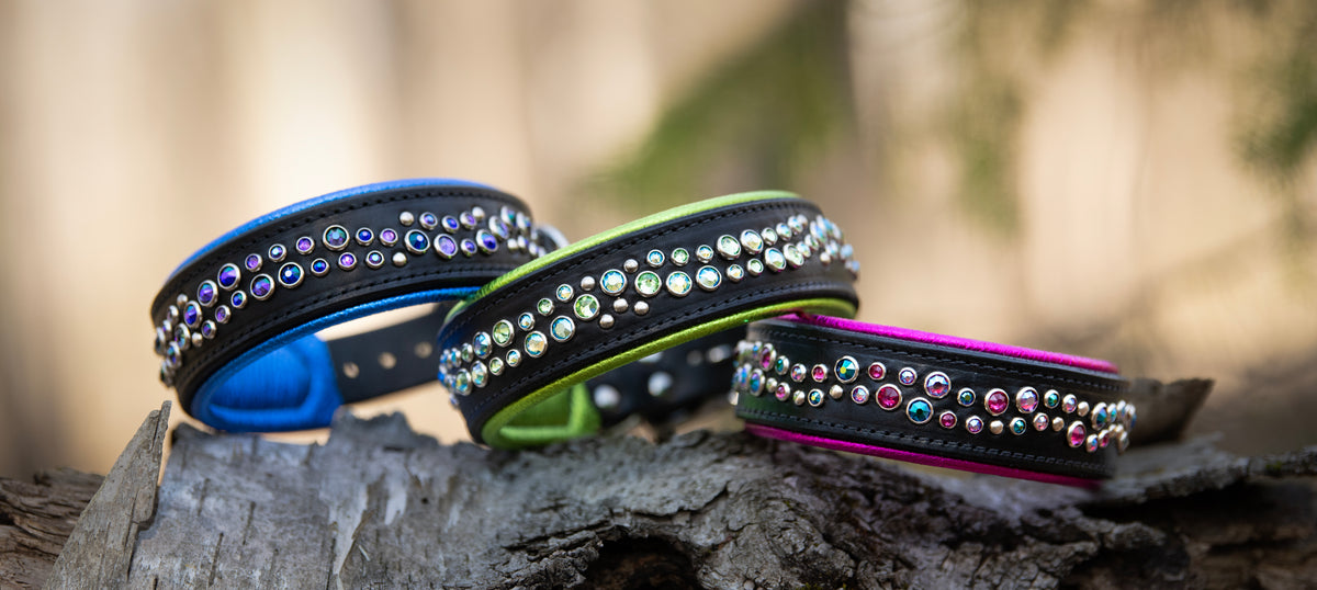 Standard Width Collars Can Be Custom Too – Fusion By Design Collars