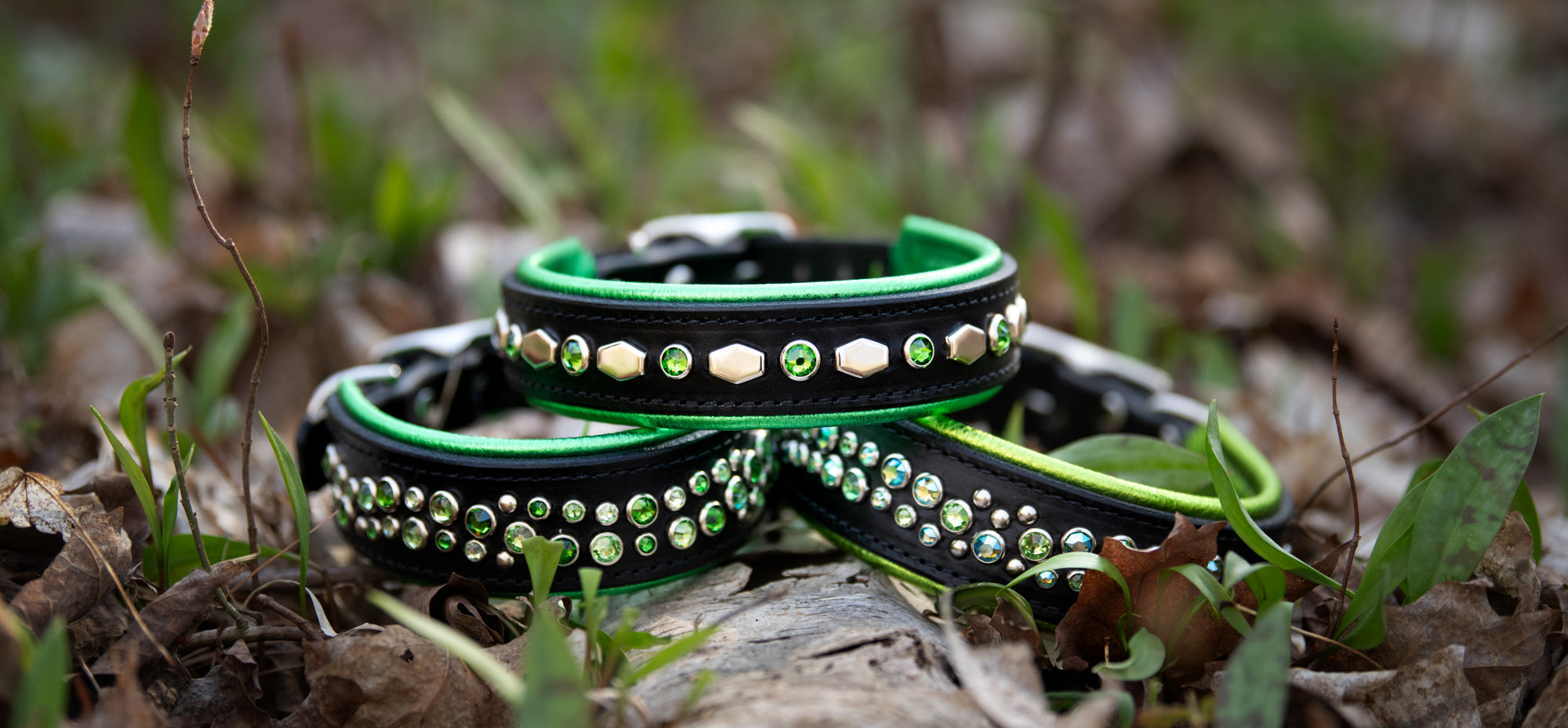 Custom Colles All Collars โ Fusion By Design Collars