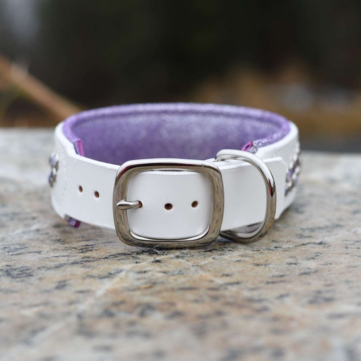 Allure, 1.75" wide, various sizes Dog Collar