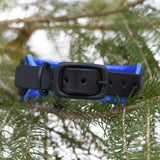 Allure, 1.5" wide  Black Leather Dog Collar, size 12"-15"