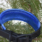 Allure, 1.5" wide  Black Leather Dog Collar, size 12"-15"