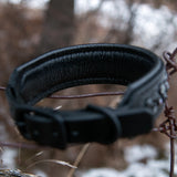 Allure, 1.5" wide Black Leather Dog Collar, size 12"-15"